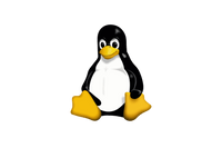 Linux platform icon